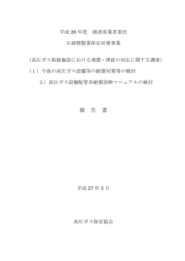 報 告 書 - 経済産業省