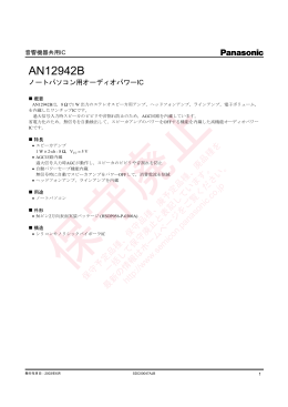 AN12942B