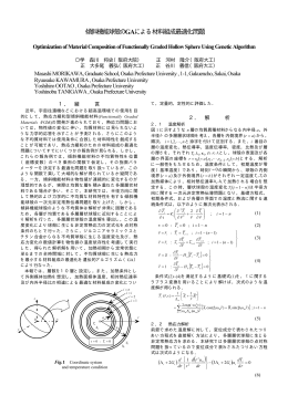 橡 第11回計算力学講演会 講演番号334