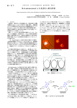 Bioluminescenceによる乱流せん断力計測 B－57