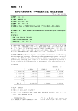 研究成果報告書 - KAKEN - 科学研究費助成事業データベース