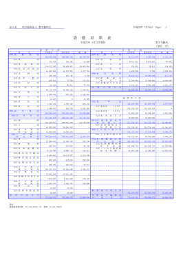 24年度貸借対照表（PDF）