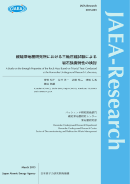 JAEA-Research-2015-001:4.92MB