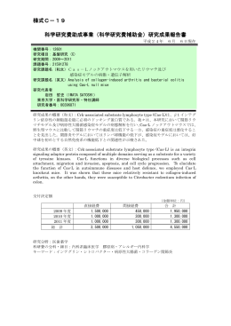 研究成果報告書 - KAKEN - 科学研究費助成事業データベース