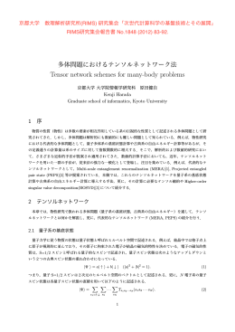 量子多体系に関しては、MPS、PEPS - 計算力学分野