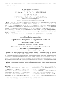 多重解像度表現を用いた ポリゴンスープ 3 次元