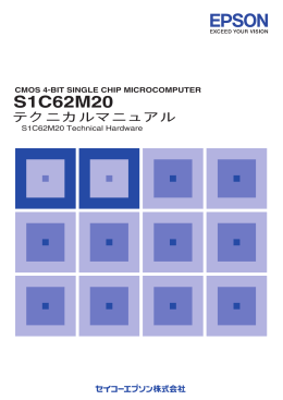 S1C62M20
