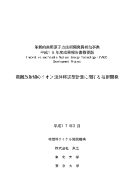 16年度報告書概要版 - エネルギー総合工学研究所
