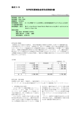 様式 C-19 科学研究費補助金研究成果報告書