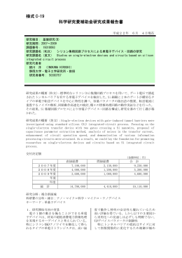 PDF - KAKEN - 科学研究費助成事業データベース