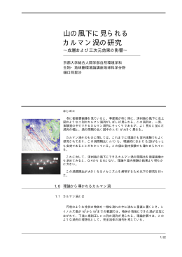 山の風下に見られる カルマン渦の研究