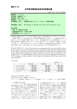 様式 C-19 科学研究費補助金研究成果報告書 - KAKEN
