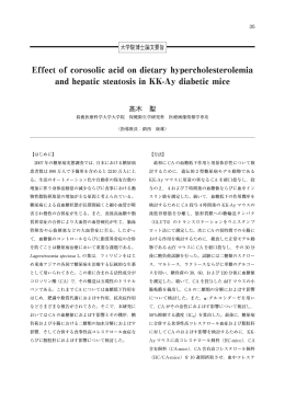 大学院博士・修士論文要旨