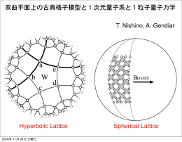 密度行列繰込み群の並列処理と 高次元化の模索