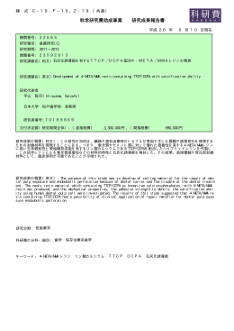 科学研究費助成事業 研究成果報告書
