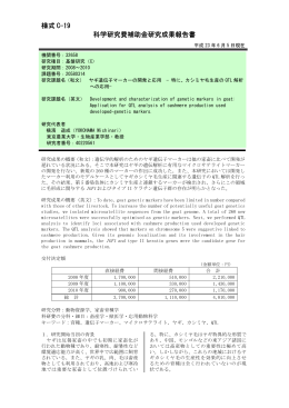 様式 C-19 科学研究費補助金研究成果報告書 - KAKEN