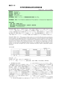 様式 C-19 科学研究費補助金研究成果報告書