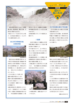 東京都 隠れた桜の名所 2013年3・4月号 (PDF:294KB)