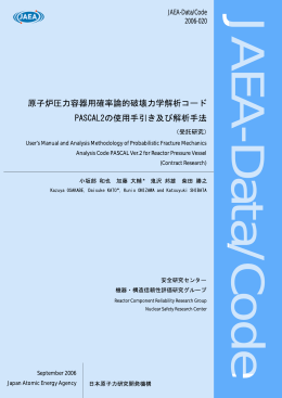 JAEA-Data-Code-2006-020:11.17MB