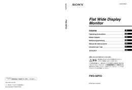 Flat Wide Display Monitor