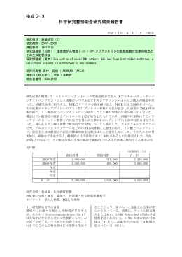 様式 C-19 科学研究費補助金研究成果報告書