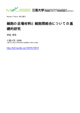 ファイルを開く - MIUSE
