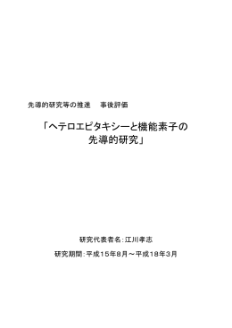 ヘテロエピタキシーと機能素子の 先導的研究