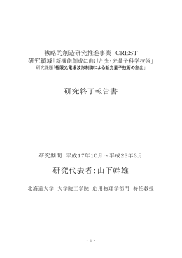 極限光電場波形制御による新光量子技術の創出
