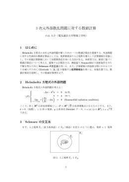 3 次元外部散乱問題に 対す る 数値計算