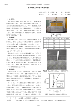 柱状剛体基礎の水平支持力特性