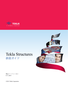 鉄筋ガイド - Tekla User Assistance