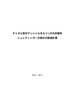 チャネル型ポテンシャルをもつ2次元非線形 シュレディンガー方程式の