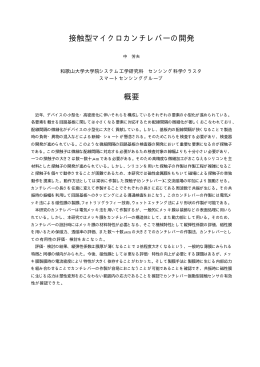 本文（pdf形式）
