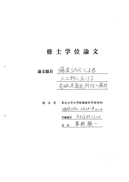 偏波SARによる人工物における電磁波散乱特性の解析