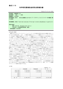 様式 C-19 科学研究費補助金研究成果報告書
