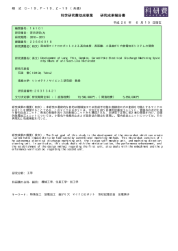 PDF - KAKEN - 科学研究費助成事業データベース