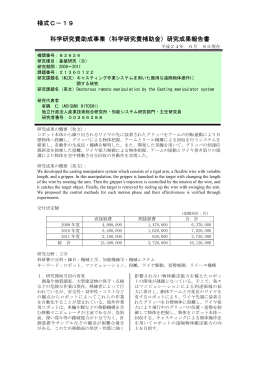 研究成果報告書 - KAKEN - 科学研究費助成事業データベース