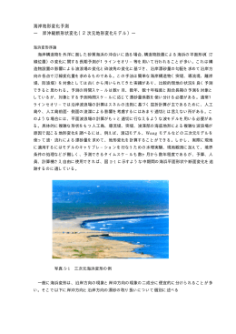 海岸地形変化予測 ― 岸沖縦断形状変化（2次元地形変化モデル）―