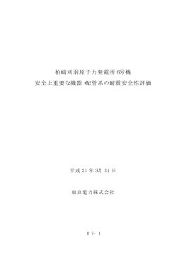 柏崎刈羽原子力発電所6号機 安全上重要な機器・配管系の