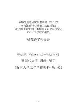 研究終了報告書 研究代表者：川﨑 雅司 （東京大学
