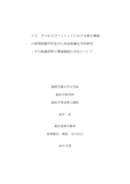 イヌ，ネコおよびフェレットにおける稀少腫瘍 の病理組織学的並びに免疫