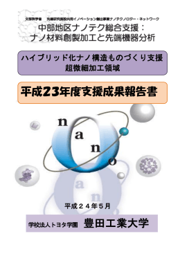 平成23年度支援成果報告書