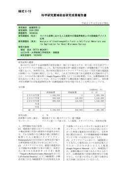 様式 C-19 科学研究費補助金研究成果報告書