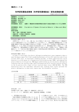 研究成果報告書 - KAKEN - 科学研究費助成事業データベース