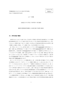 山下 幹雄 極限光電場波形制御による新光量子技術の創出 §1．研究