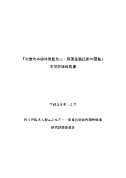 報告書 - 新エネルギー・産業技術総合開発機構