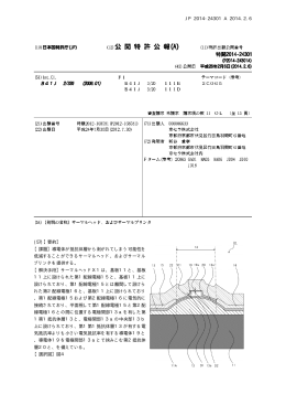 JP 2014-24301 A 2014.2.6 10 (57)【要約】 【課題】導電体が抵抗体層