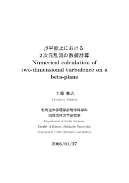 &beta; 平面上における 2 次元乱流の数値計算