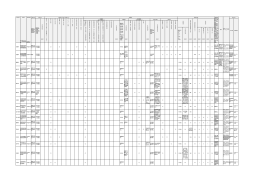市区町村 事業名 開始時期 対象行為 国費項目 そ の 他 の 内 容 国