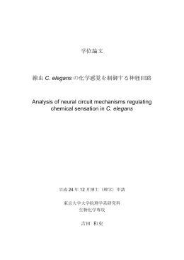 学位論文 線虫 C. elegans の化学感覚を制御する神経回路 Analysis of